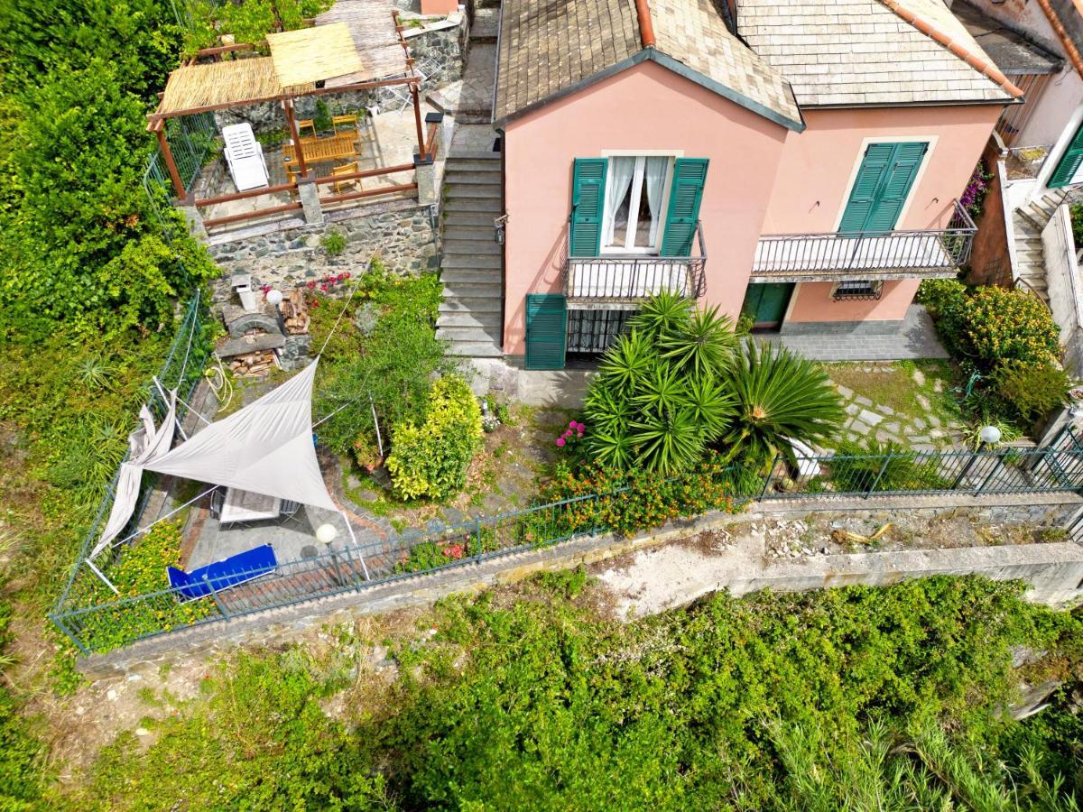 Casa Glicine Sul Mare Apartment เลวานโต ภายนอก รูปภาพ